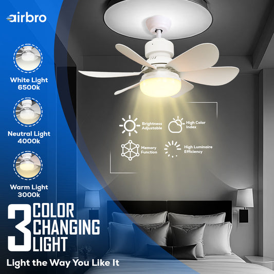 Socket Fan Light w/ Remote - Set of 2