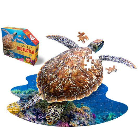 OCEAN LOVERS BUNDLE: I AM LiL' SHARK 100 & I AM LiL' SEA TURTLE