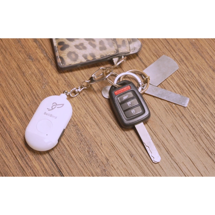 BellBird Alarms 2 Pack