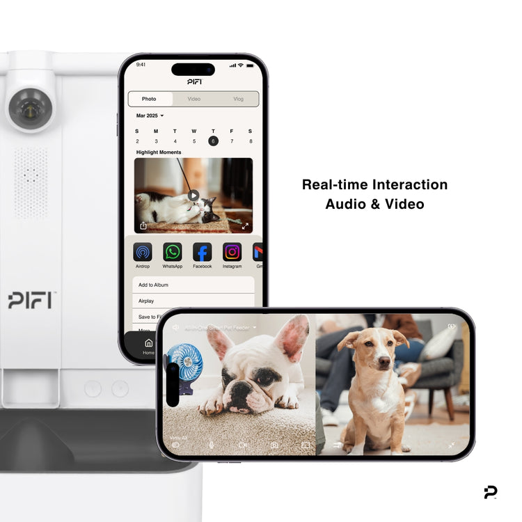 Pifi device and smartphone app showing real-time interaction with pets.