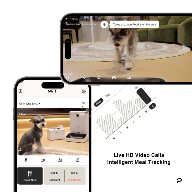 Smart pet feeder app interface with live video calls and meal tracking on a smartphone screen.
