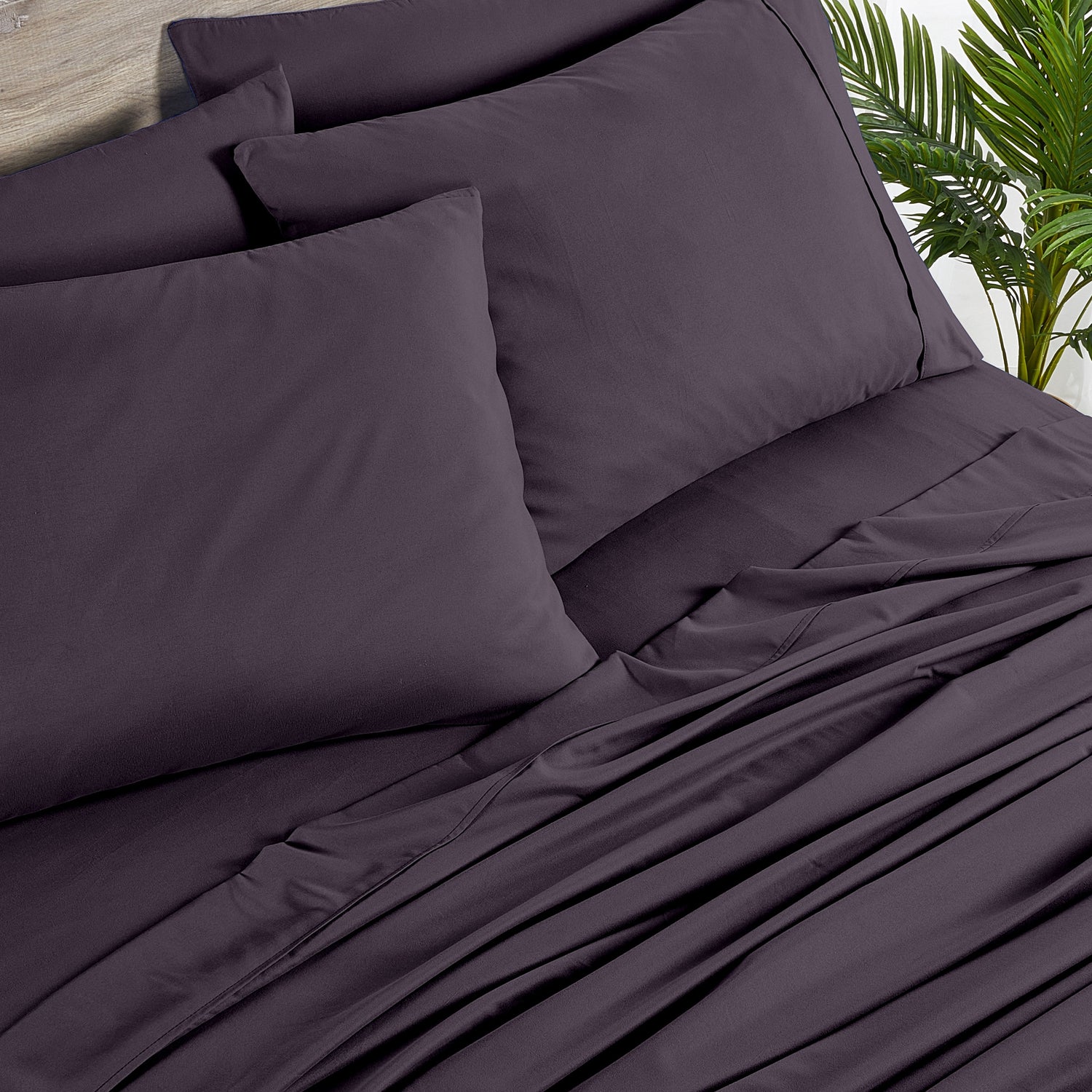 Purple bedding set with pillows on a bed, with a plant in the background.