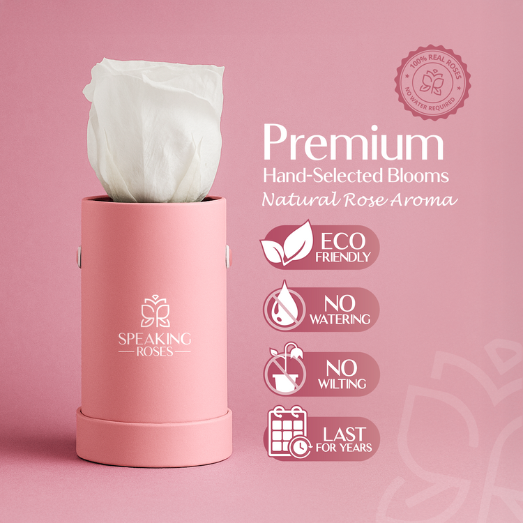 Pink container with a white rose labeled 'Premium Hand-Selected Blooms' on a pink background.