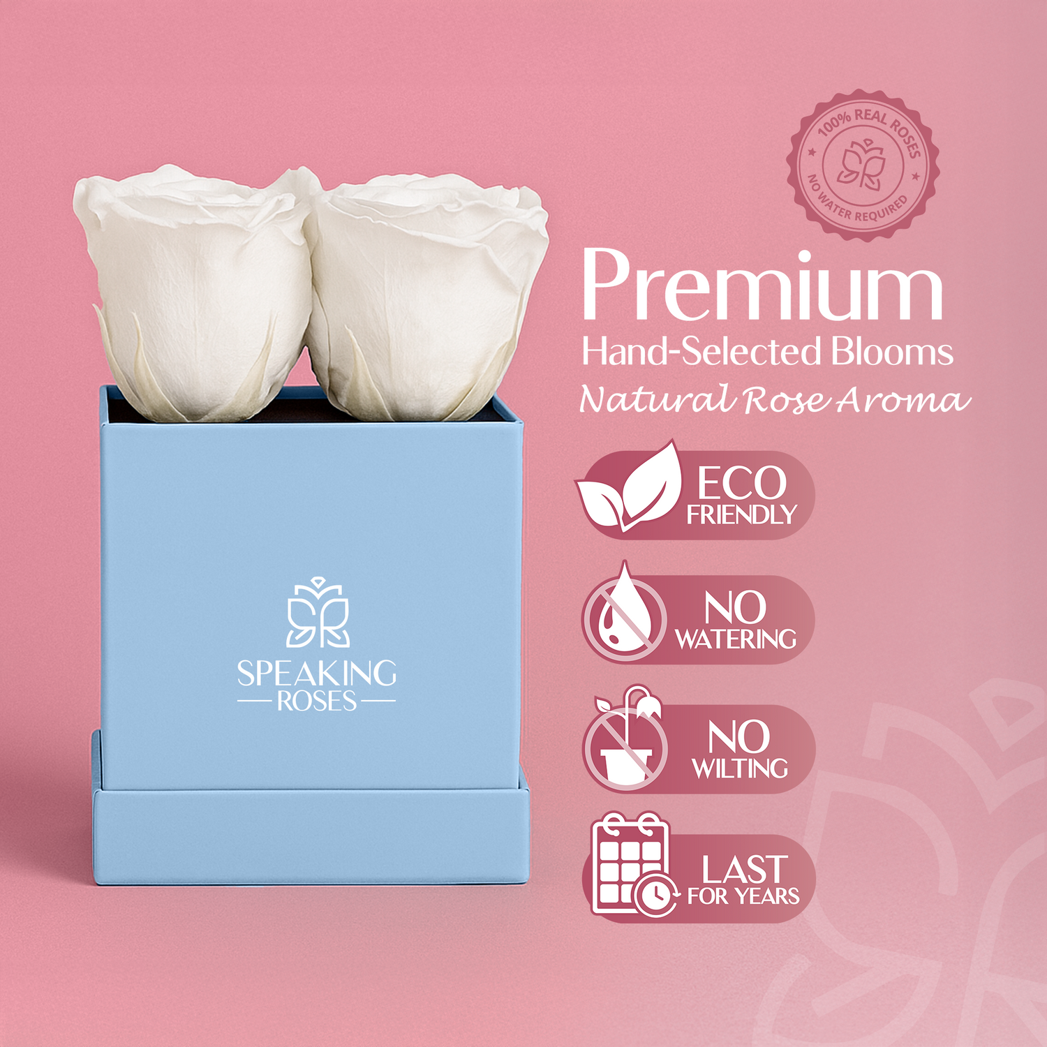 Blue box with white roses on a pink background, featuring Speaking Roses branding and product features.
