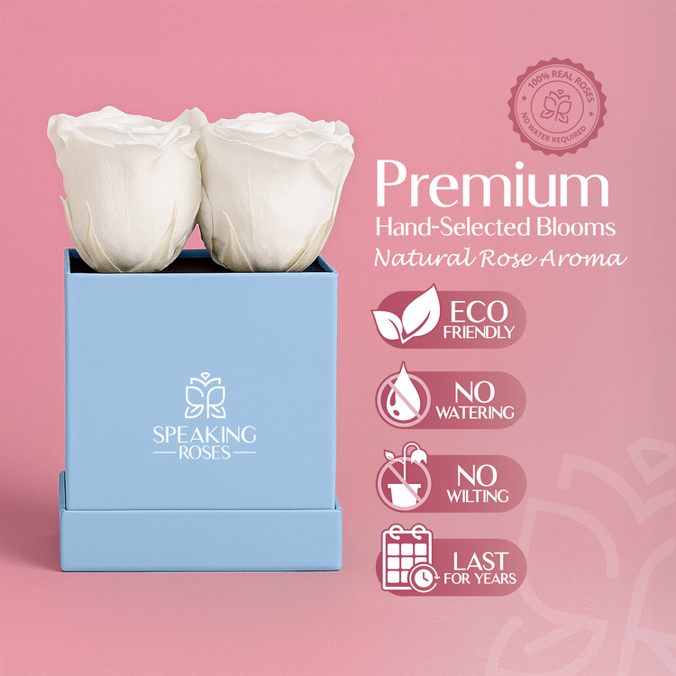 Blue box with white roses on a pink background, featuring Speaking Roses branding and product features.