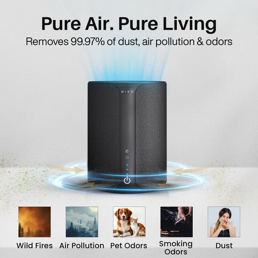 Miko smart device with smartphone displaying app interface on a white background