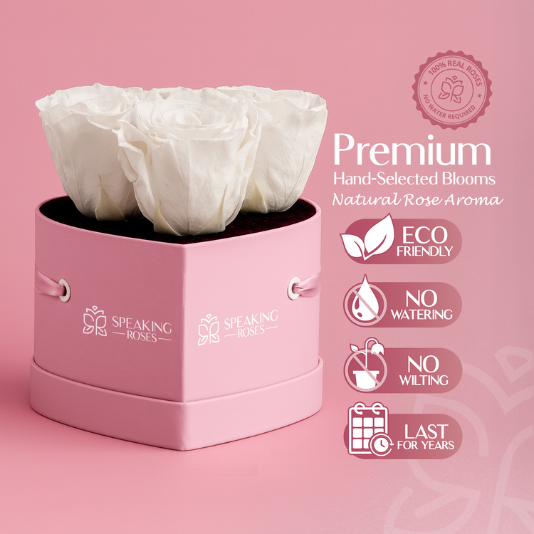 Pink box with white flowers labeled 'Speaking Roses' on a pink background