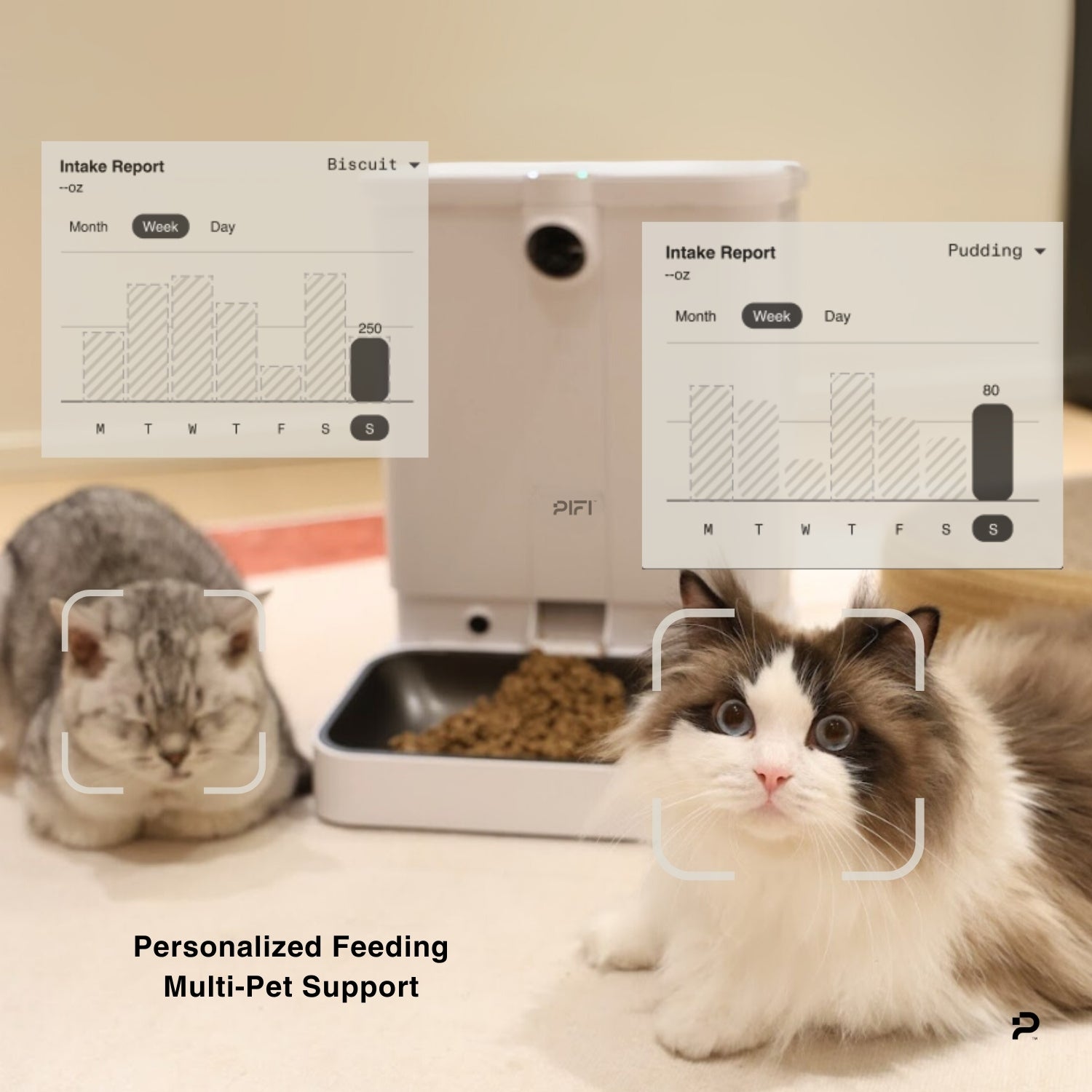 Two cats in front of a pet feeder with digital displays showing intake reports.