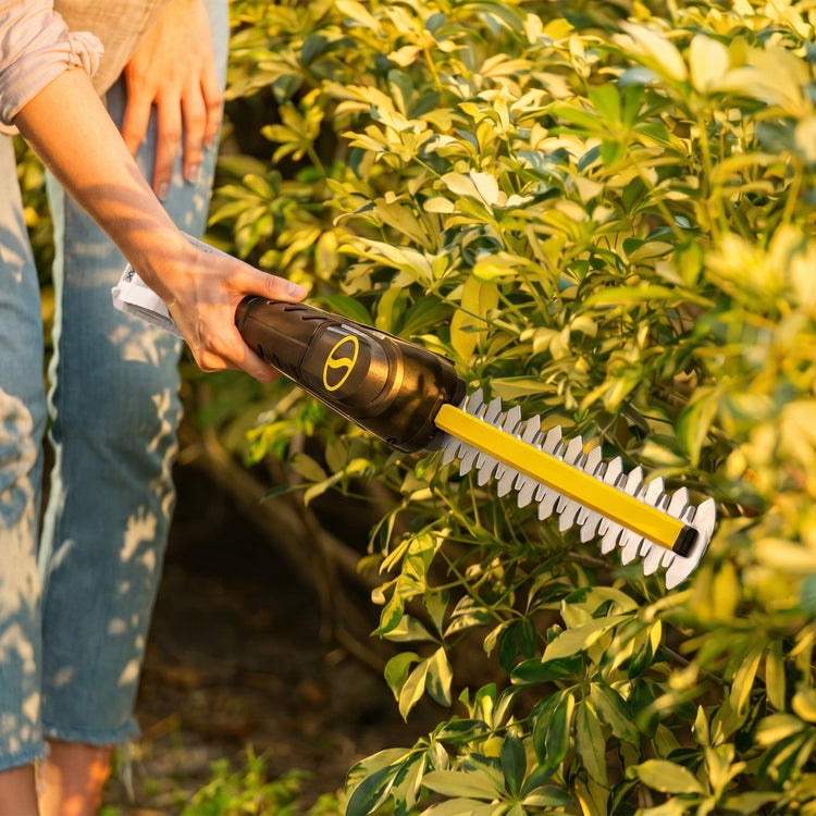 Person using a hedge trimmer on a bush in a garden