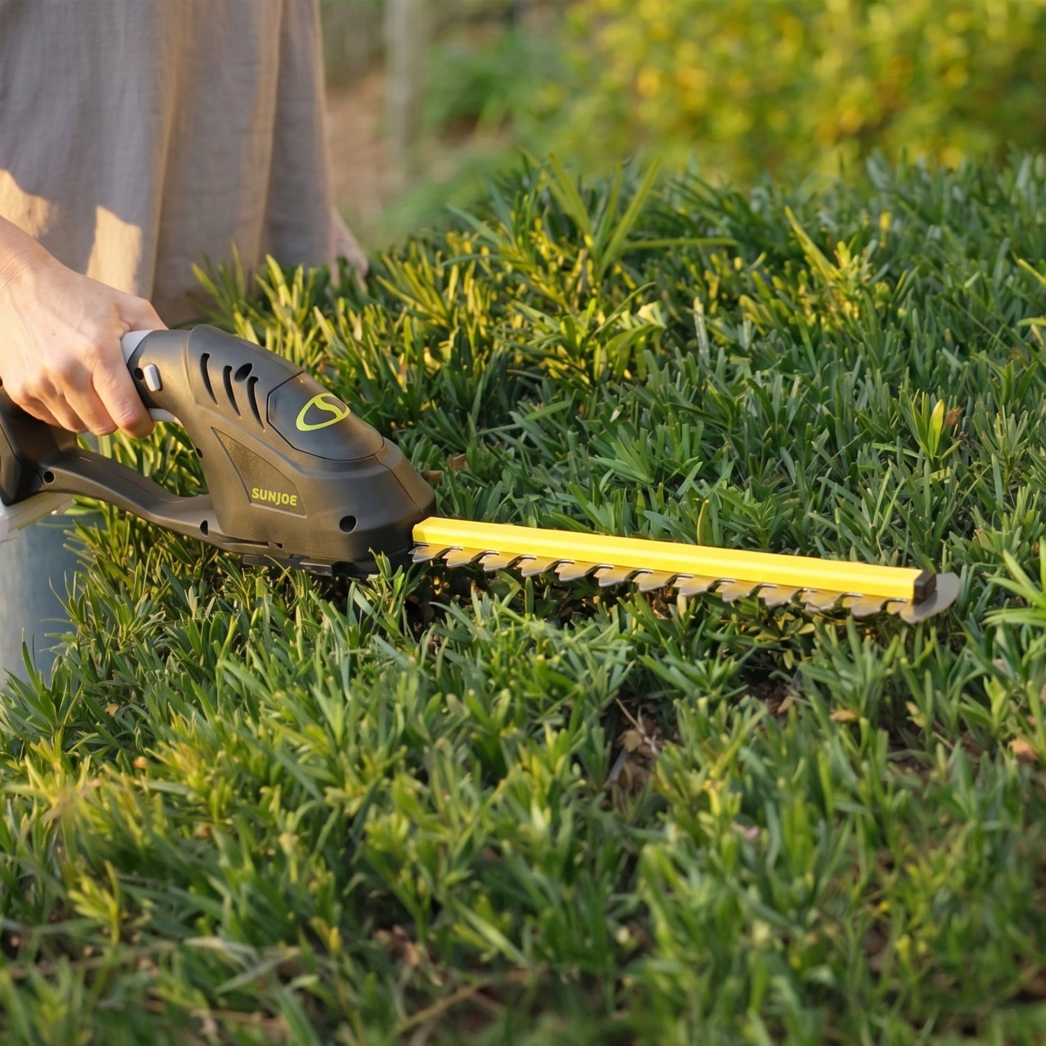 Person using a hedge trimmer to trim a bush outdoors