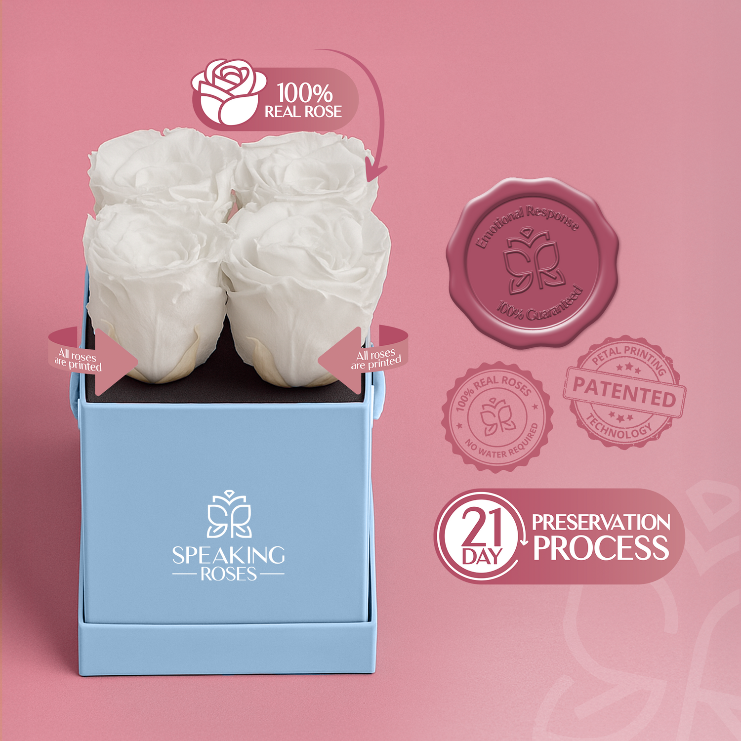 Box of white preserved roses with 'Speaking Roses' branding on a pink background