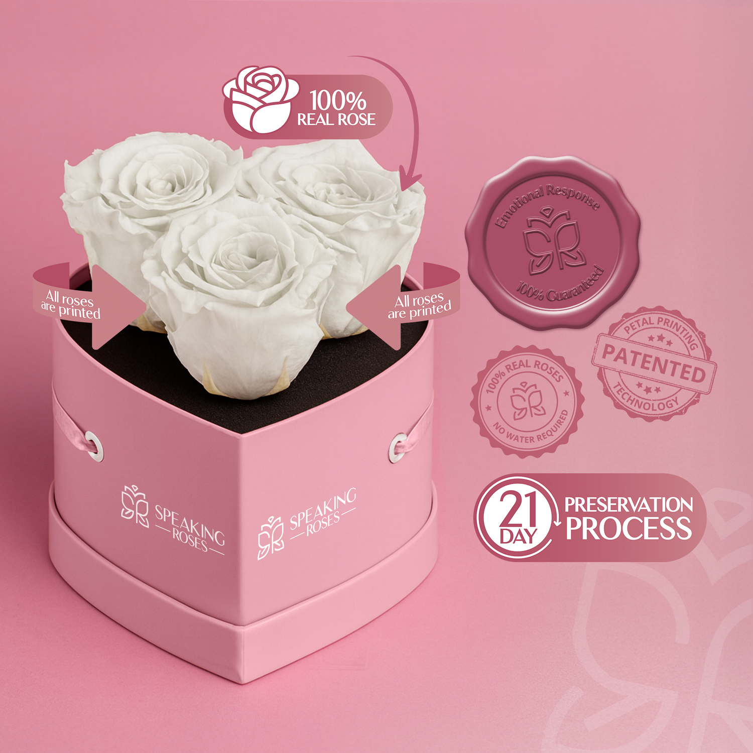 Heart-shaped pink box with preserved white roses on a pink background, featuring Speaking Roses branding.
