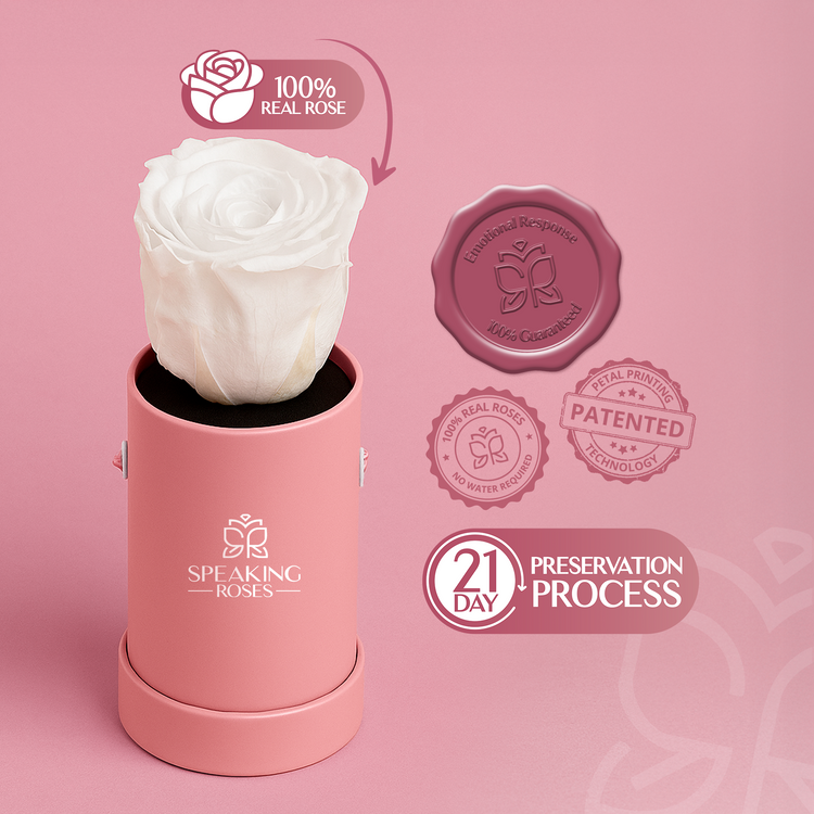 White rose in a pink container with 'Speaking Roses' branding on a pink background
