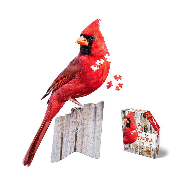 I AM CARDINAL 300