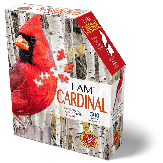 I AM CARDINAL 300