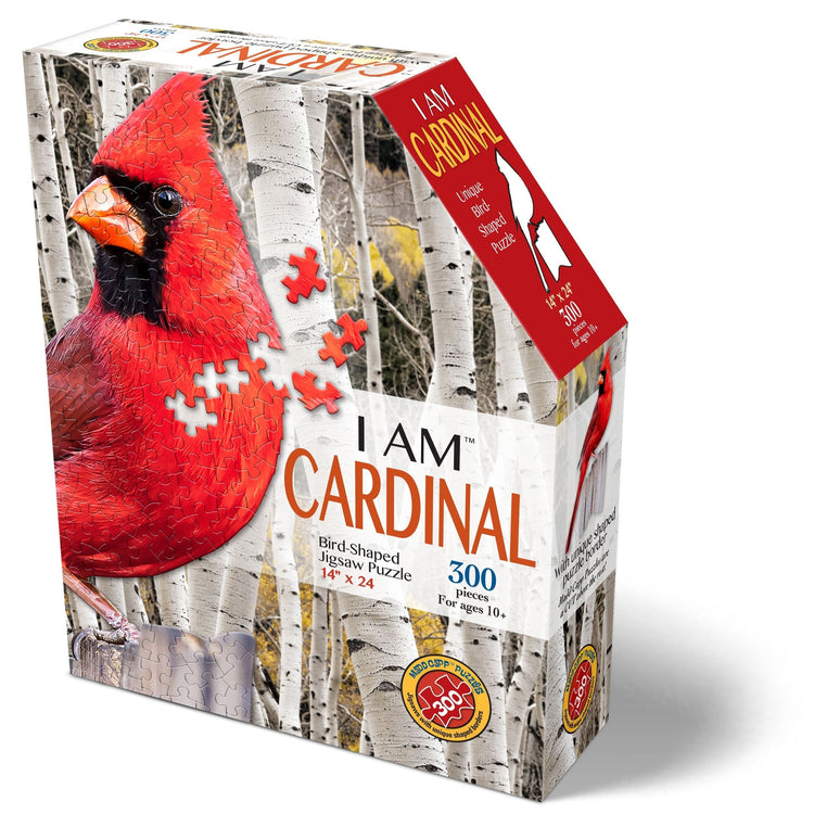 HOLIDAY BUNDLE: I AM LiL' SNOWMAN 100 & I AM CARDINAL 300