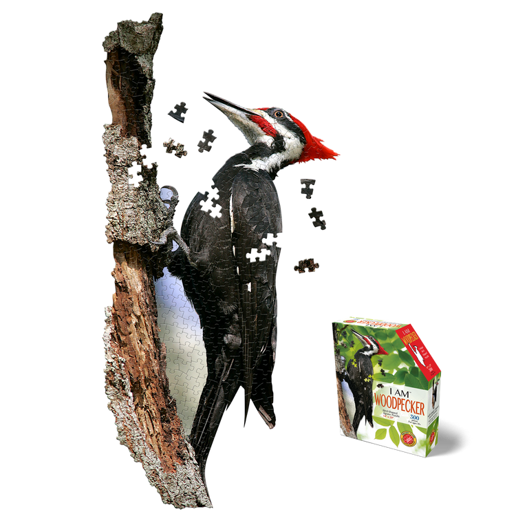 I AM WOODPECKER 300