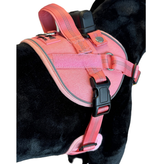 Lumi One Dog Harness - Pink