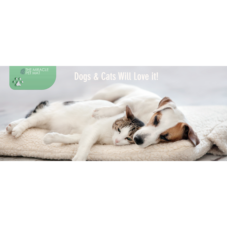 The Miracle Pet Mat - XX-Large - Pearl White 48" x 36"