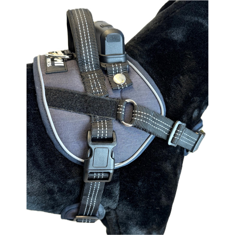 Lumi One Dog Harness - Black