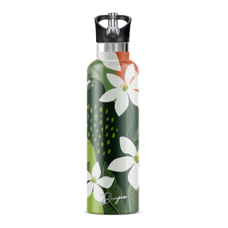 Nanu 25 oz Insulated Water Bottle