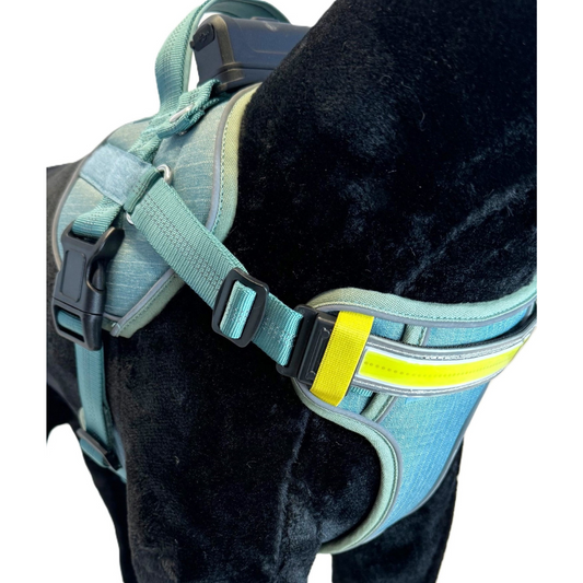 Lumi One Dog Harness - Blue