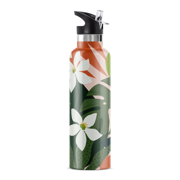 Nanu 25 oz Insulated Water Bottle