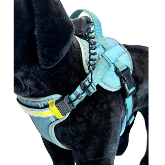 Lumi One Dog Harness - Blue