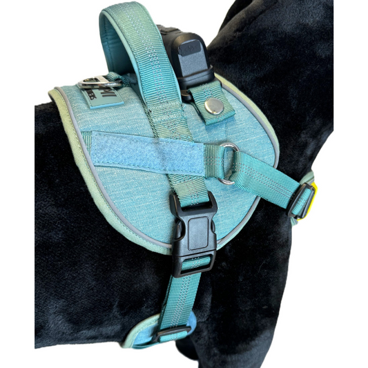 Lumi One Dog Harness - Blue