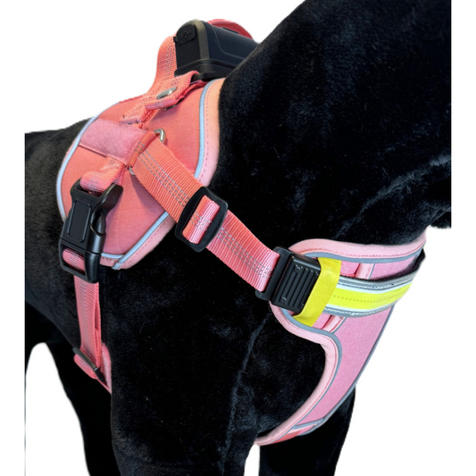 Lumi One Dog Harness - Pink