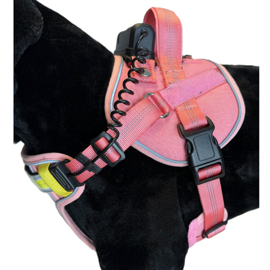 Lumi One Dog Harness - Pink