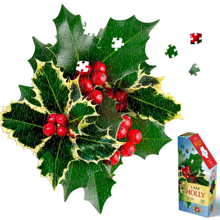 HOLIDAY FLORAL BUNDLE:  I AM POINSETTIA 350 & I AM HOLLY 350