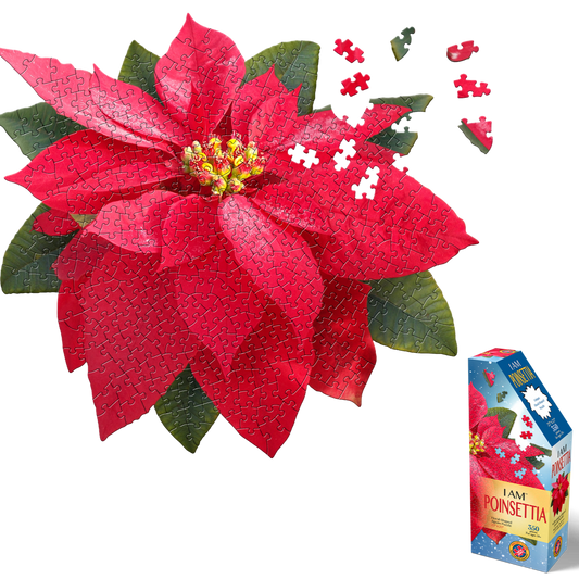 I AM POINSETTIA 350