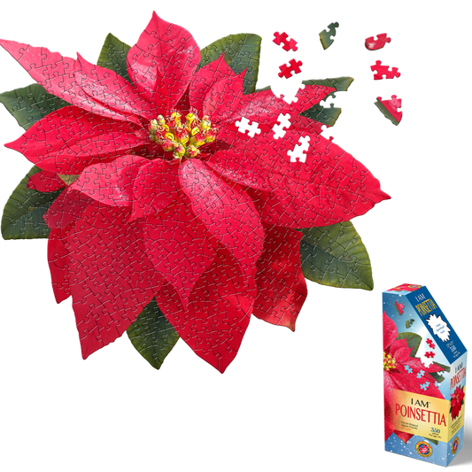 HOLIDAY FLORAL BUNDLE:  I AM POINSETTIA 350 & I AM HOLLY 350