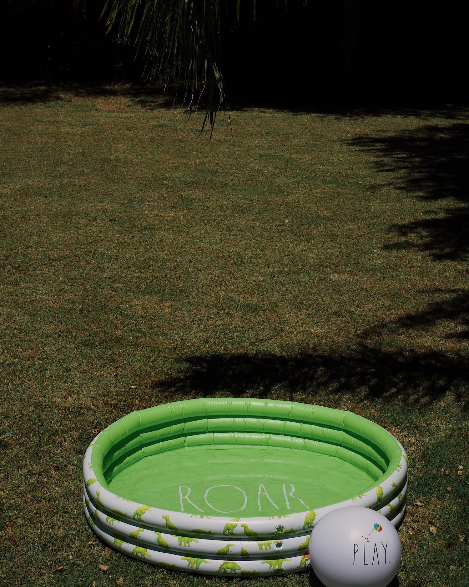 Children's inflatable pool with dinosaur design on grass