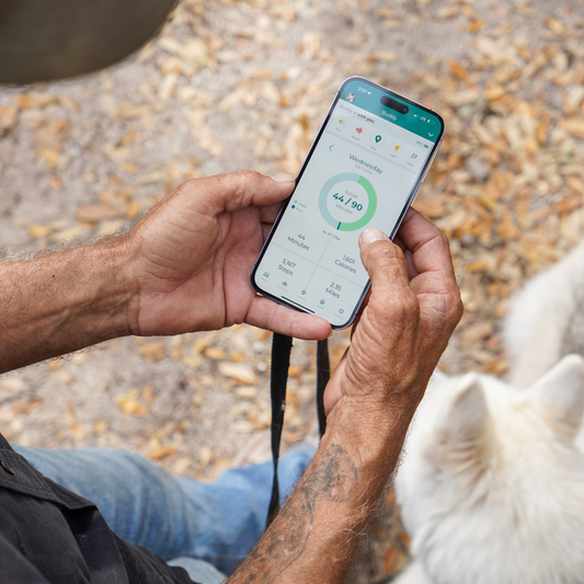 The Link Smart Pet Wearable