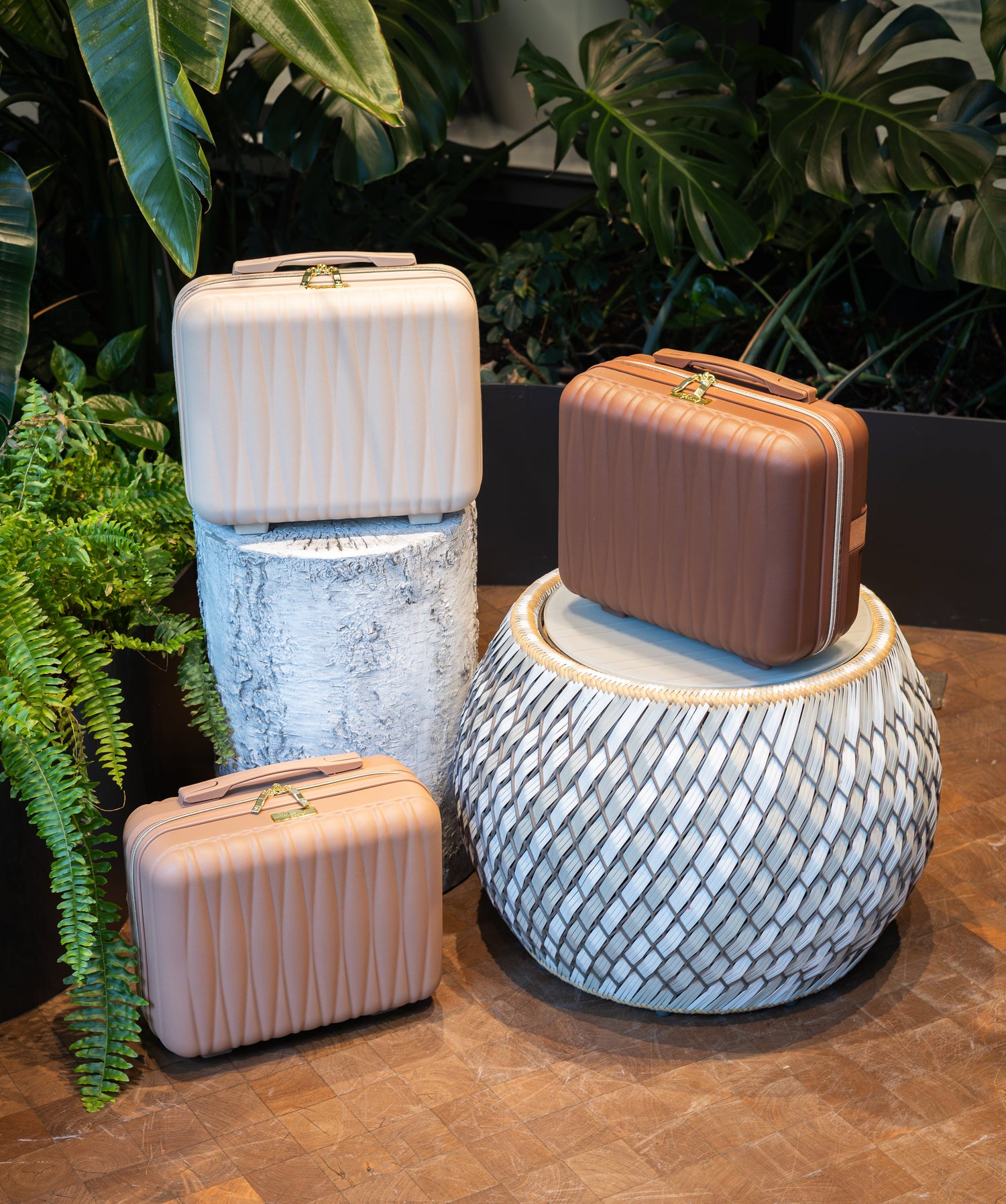 Three suitcases on a textured surface with plants in the background