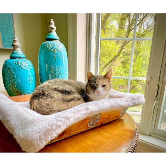 The Miracle Pet Mat - X-Small - Pearl White 20" x 13"