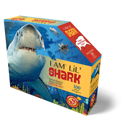 I AM LiL' SHARK 100