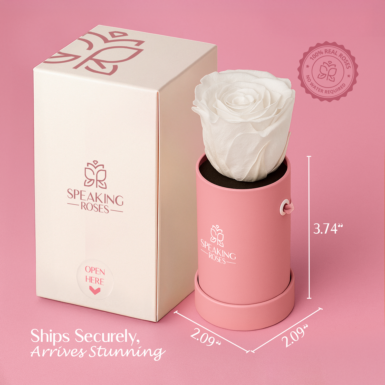 White rose in a pink cylindrical container with a matching box on a pink background, featuring 'Speaking Roses' branding.