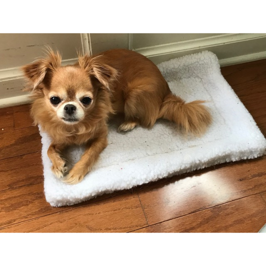 The Miracle Pet Mat - X-Small - Pearl White 20" x 13"