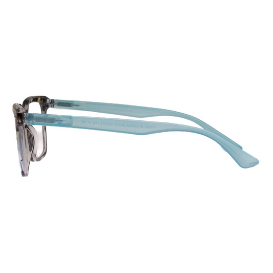 CONTEMPORARY - 2 PACK READERS - TORT+TEAL MULTI