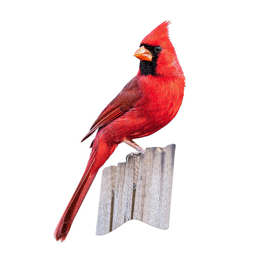 I AM CARDINAL 300