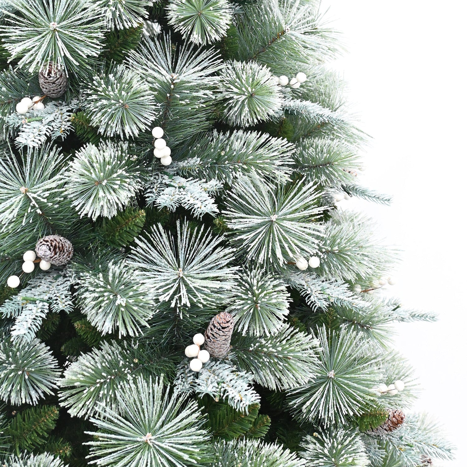 Close-up of a Christmas tree with green needles, pinecones, and white berries on a white background.