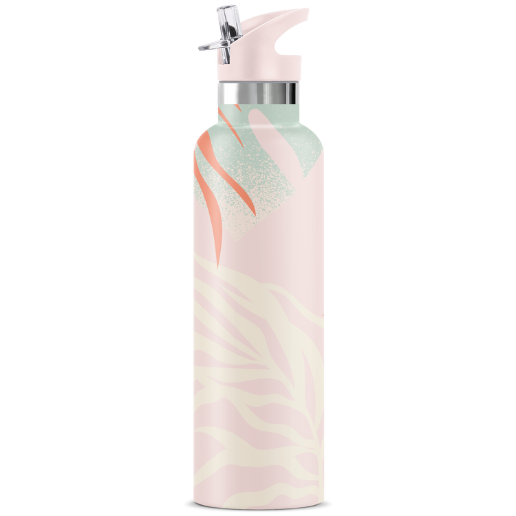 Ahe 25 oz Insulated Water Bottle