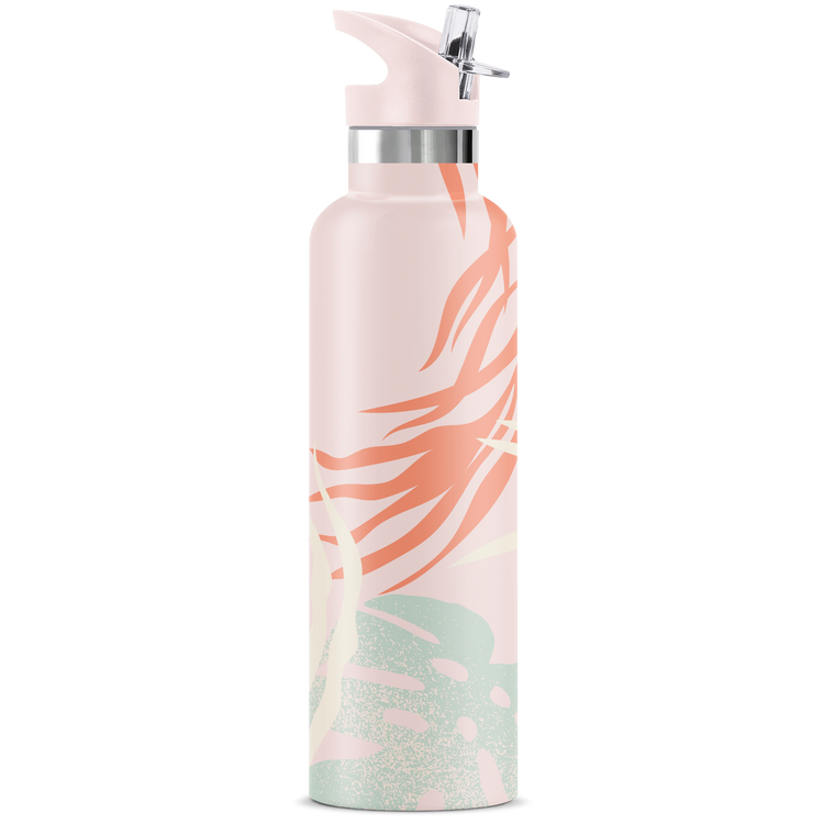 Ahe 25 oz Insulated Water Bottle