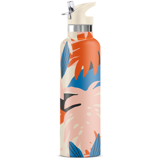 Keani 25oz Insulated Water Bottle Gift Tube