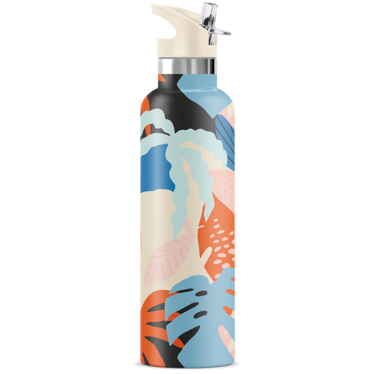 Keani 25oz Insulated Water Bottle Gift Tube