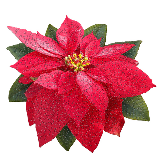 I AM POINSETTIA 350