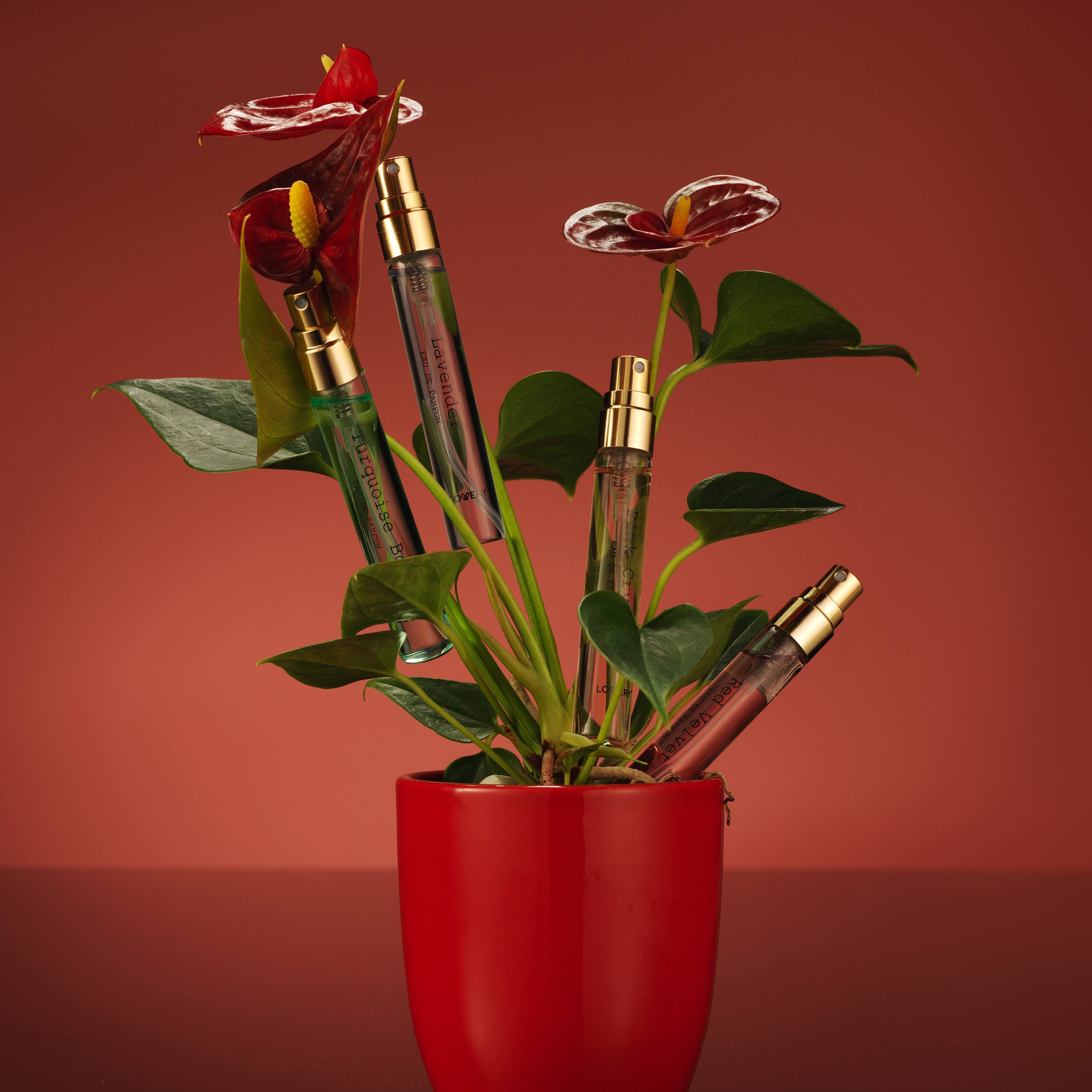 極美品！Perfume complete 5 LP BOX入手困難 極美品！Perfume complete 5 LP BOX入手困難 - メルカリ